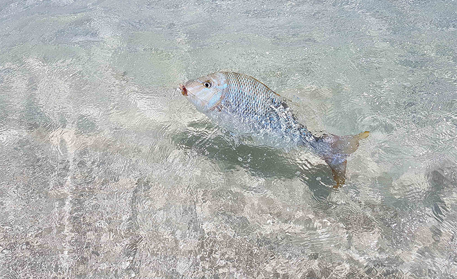 CTS Fishing in Exmouth CTS Fishing in Exmouth