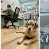 Nick Walke: The Surf Rod Artisan of North Carolina’s Outer Banks